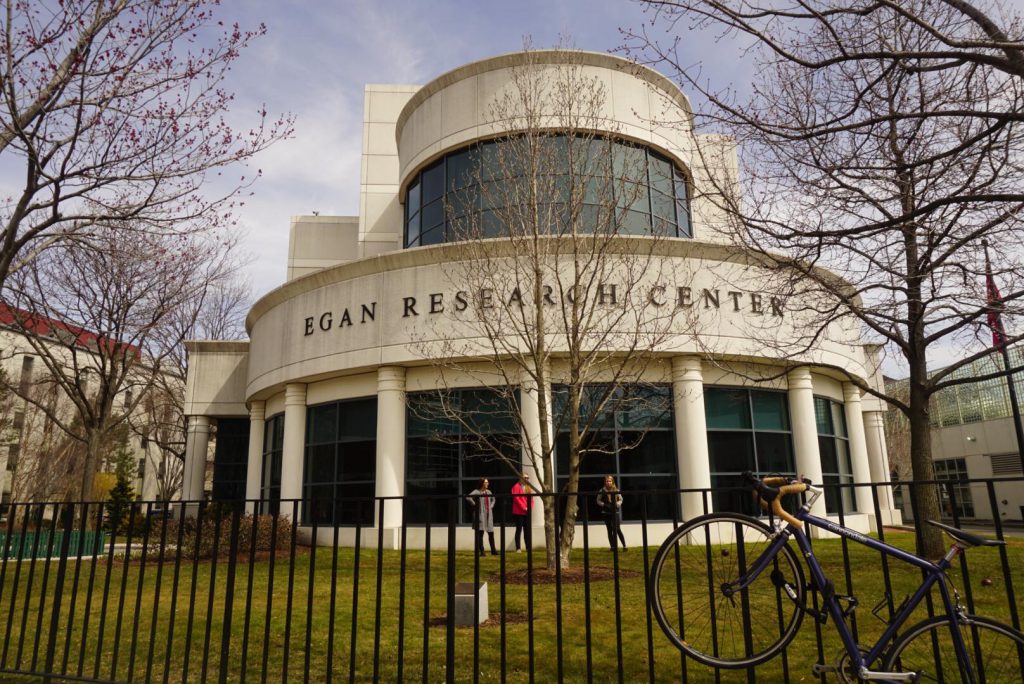 Northeastern University Review