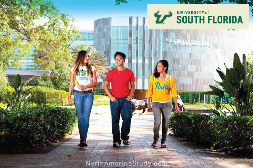 usf005