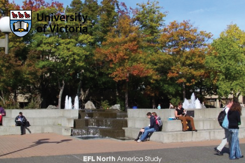 uvic_003