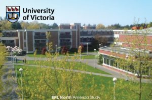 uvic_004