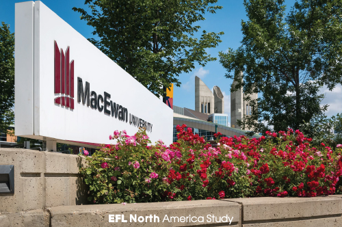 macewan001