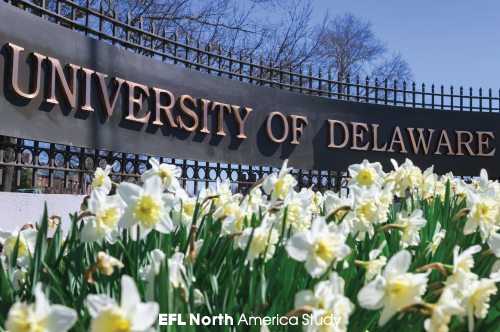 udel_001