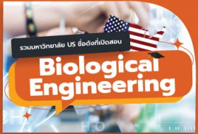 biological-engineering-thumb